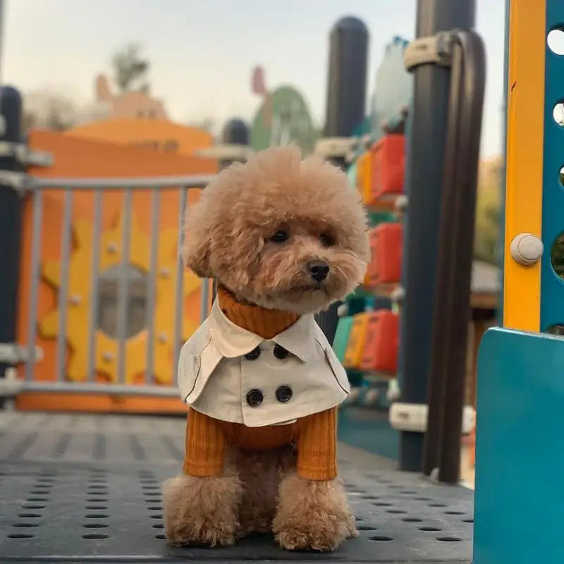 Fashion British Style Dog Cloak Windbreaker for Small to Medium Dogs