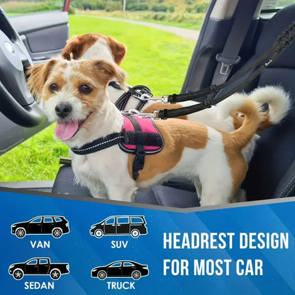 Seatbelt Safety Harness For 2 Pets