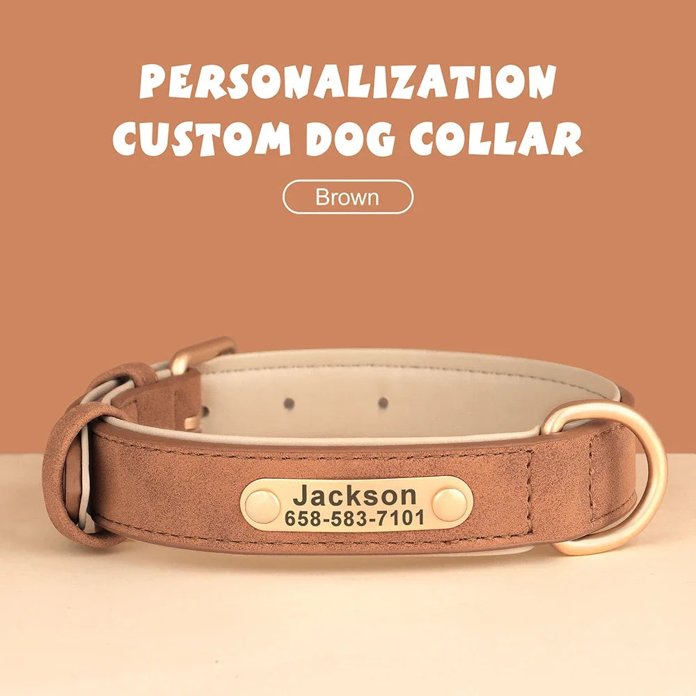 Personalized Leather Dog Collar