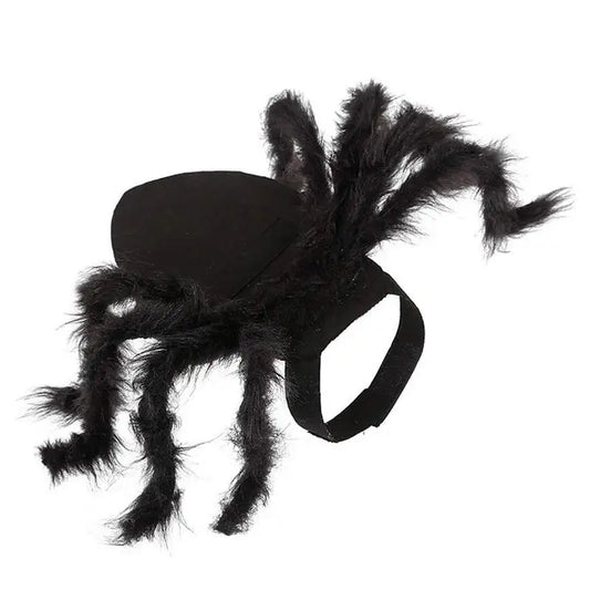 Halloween Spider Costume For Dogs