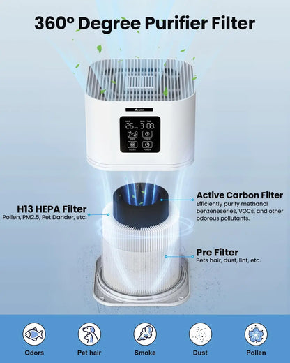 2 in 1 Air Purifier