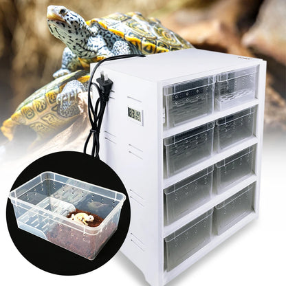 8 Compartment Reptile Breeding Boxes