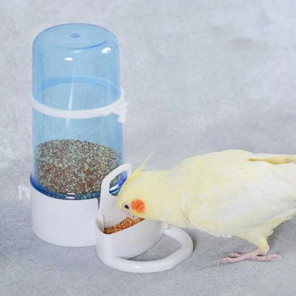 Pet Bird Water & Food Dispensers