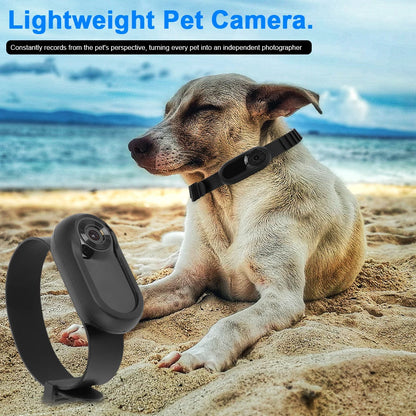 Pet Collar Camera With Video