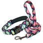 Personalized Dog Collar & Leash  Set