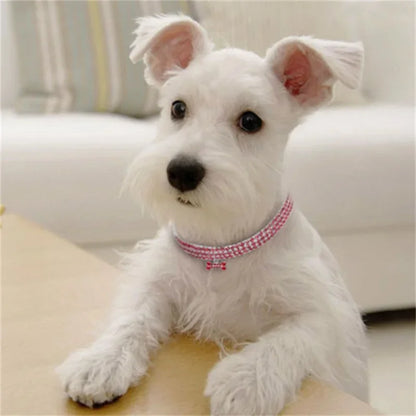 Fashion Bling Rhinestone Dog Collar