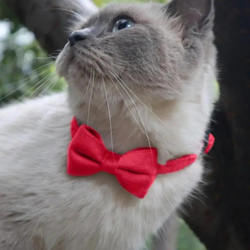 Pet Bow Tie Collars