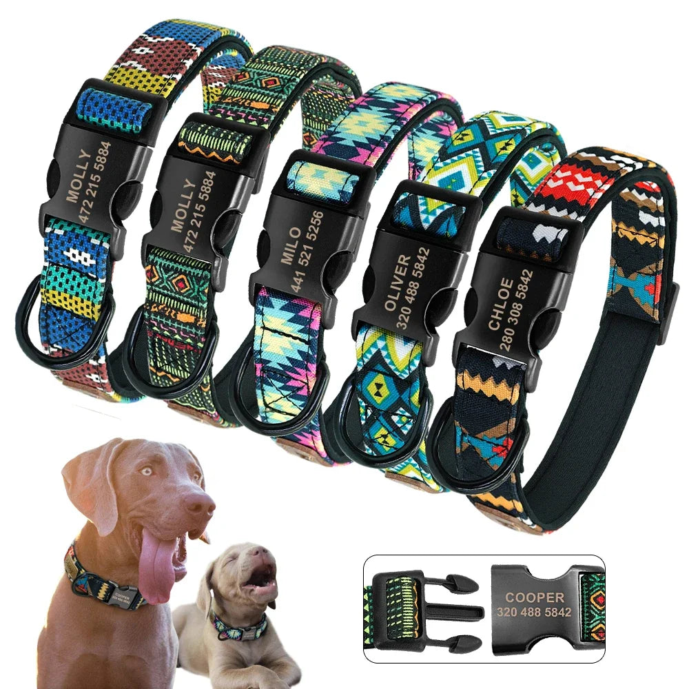 Personalized Dog Collar & Leash  Set