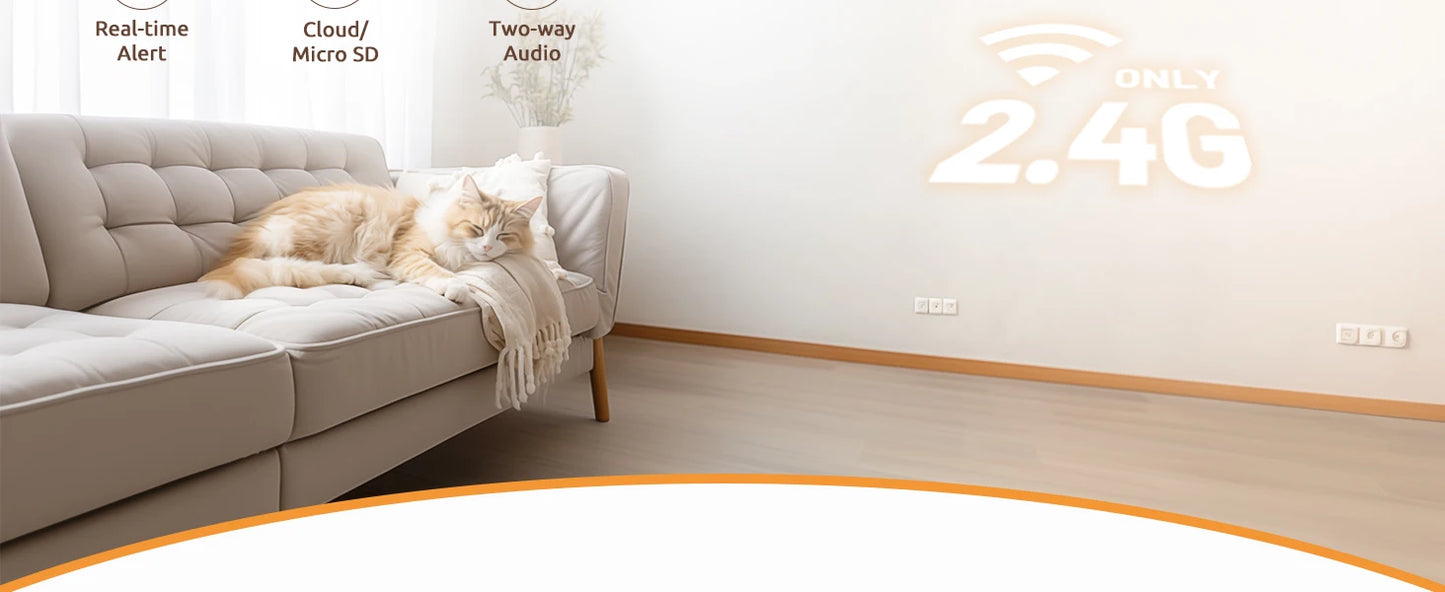 2 Pcs Blurams Indoor Security Camera