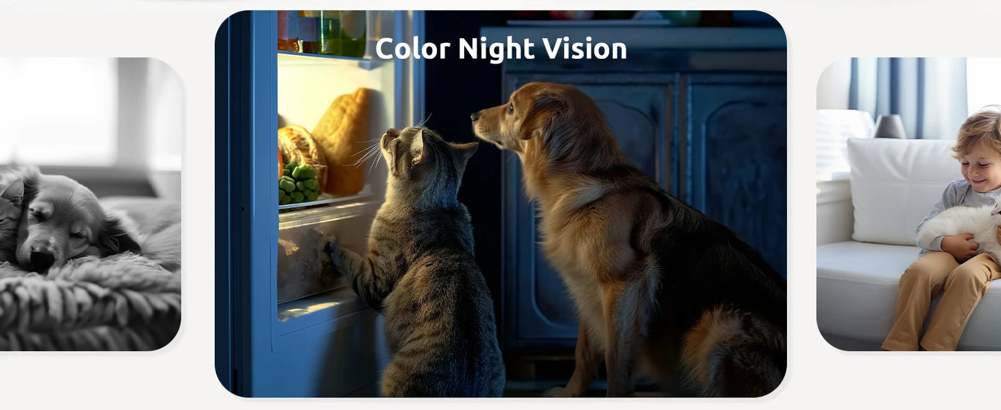 2 Pcs Blurams Indoor Security Camera