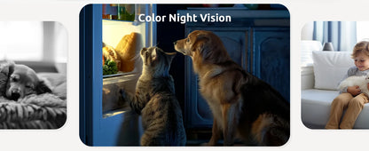 2 Pcs Blurams Indoor Security Camera