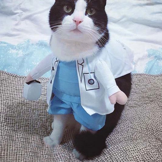 Doctor Halloween Costume for Dogs or Cats