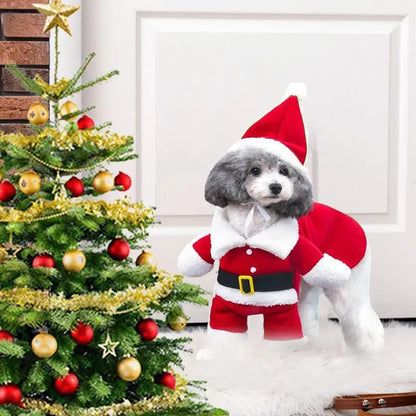 Santa Costume For Dogs or Cats