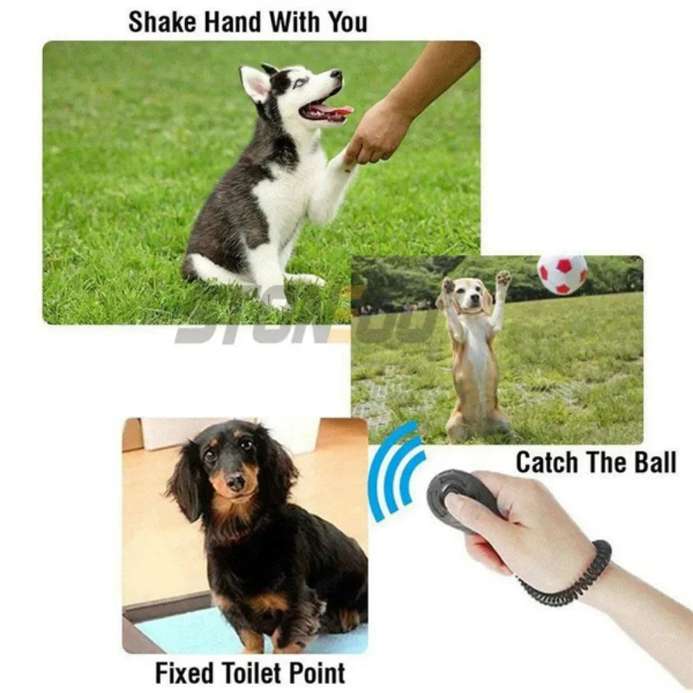 Pet Training Clicker