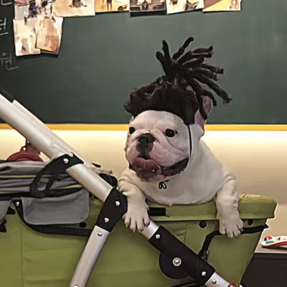 Funny Pet Wig For Dogs & Cats