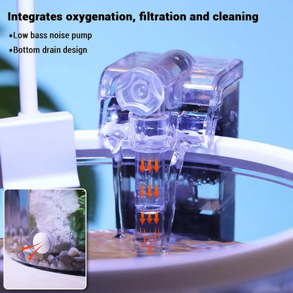 1.5 Gal Betta Fish Tank Starter Kit