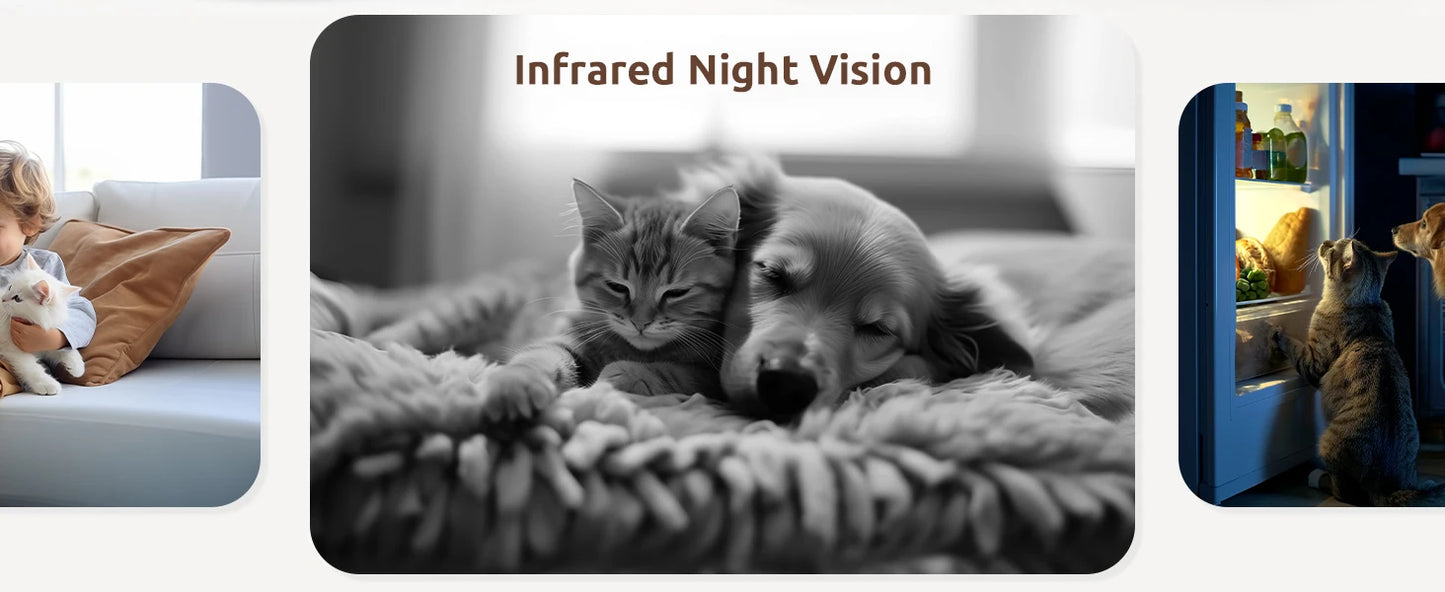 2 Pcs Blurams Indoor Security Camera