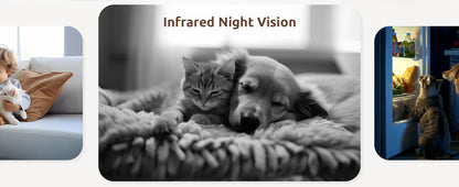 2 Pcs Blurams Indoor Security Camera