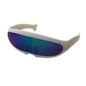 Cool Pet Goggles/Sunglasses