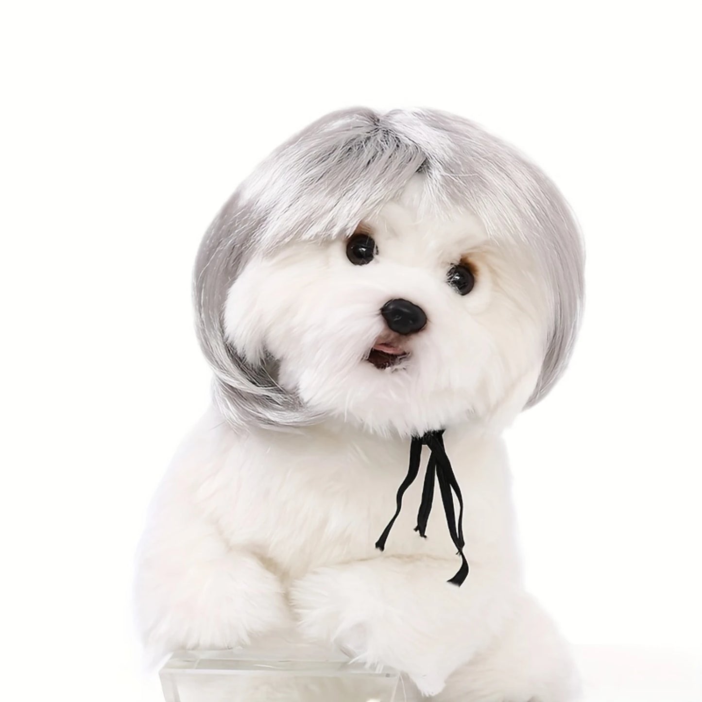Funny Pet Wig For Dogs & Cats