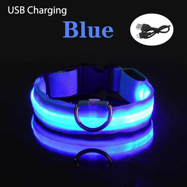 USB Rechargeable LED Dog Collar