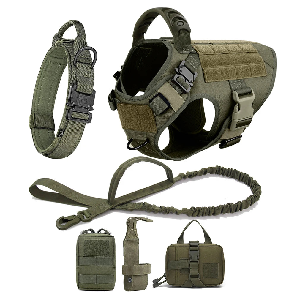 Training/Walking Vest  Set for Medium to Large Dogs