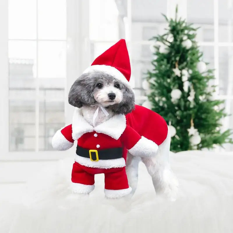 Santa Costume For Dogs or Cats