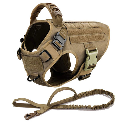 Training/Walking Vest  Set for Medium to Large Dogs