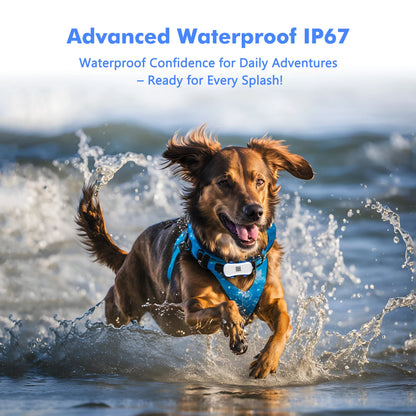 GPS Tracker for Pets