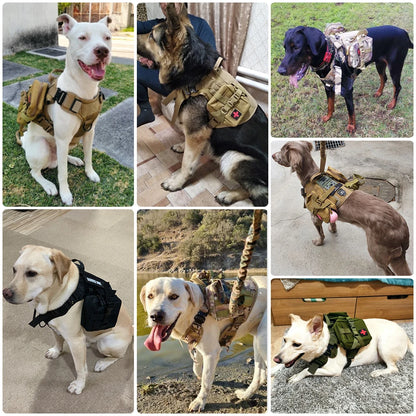 Military Style Large Dog Harness Collar & Accessories