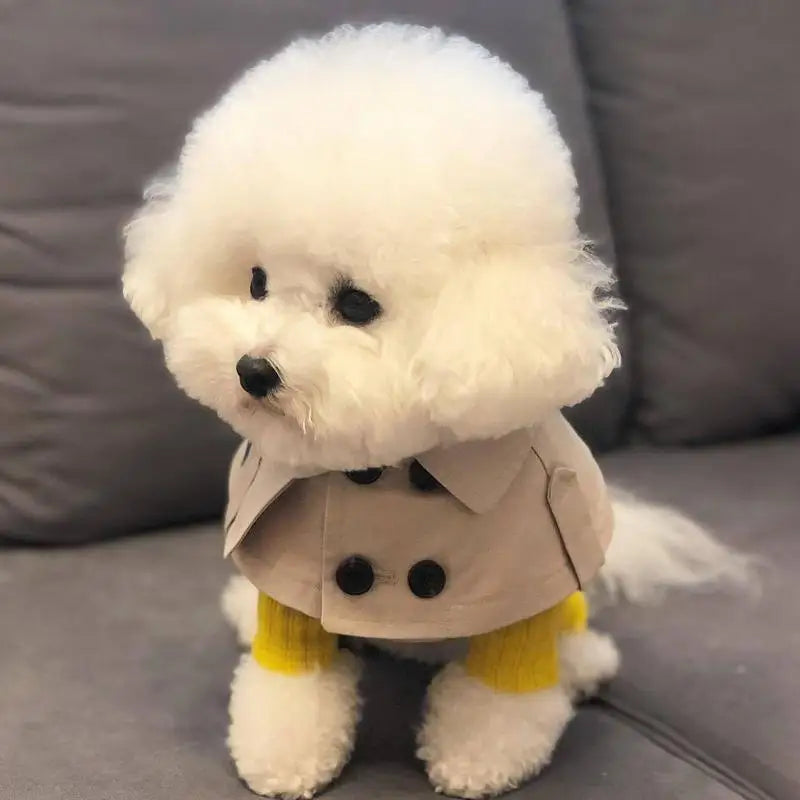 Fashion British Style Dog Cloak Windbreaker for Small to Medium Dogs