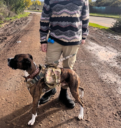 Military Style Large Dog Harness Collar & Accessories