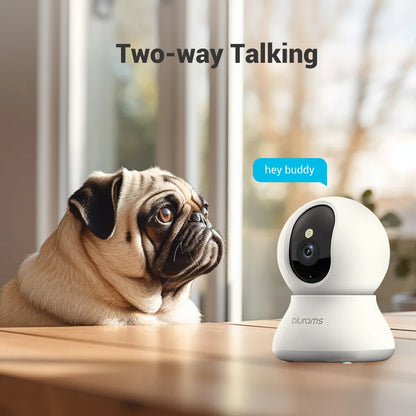 2 Pcs Blurams Indoor Security Camera