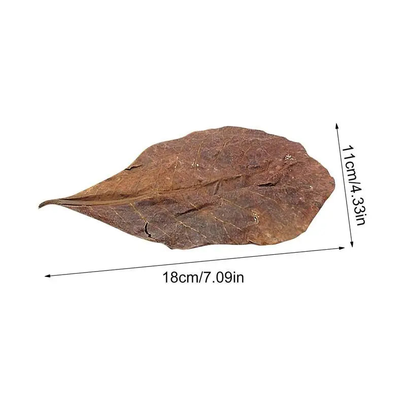 Aquarium Tank Accessories