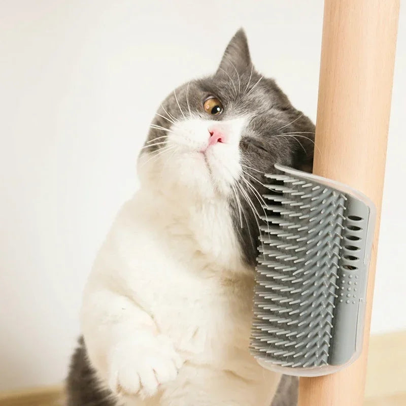 Removable Grooming Brush