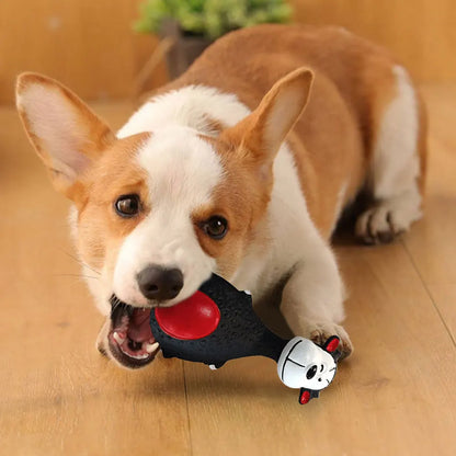 Durable Squeaky Dog Chew Toy