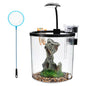 1.5 Gal Betta Fish Tank Starter Kit