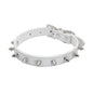 Leather/studded Pet Collar