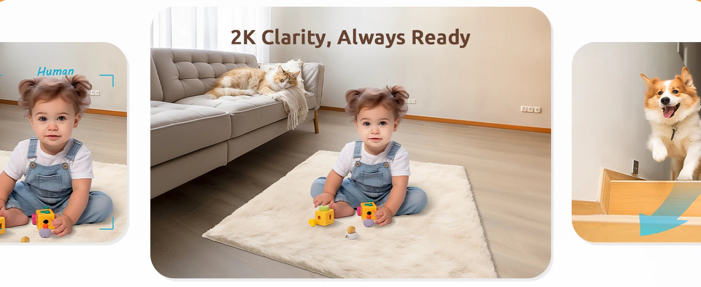 2 Pcs Blurams Indoor Security Camera