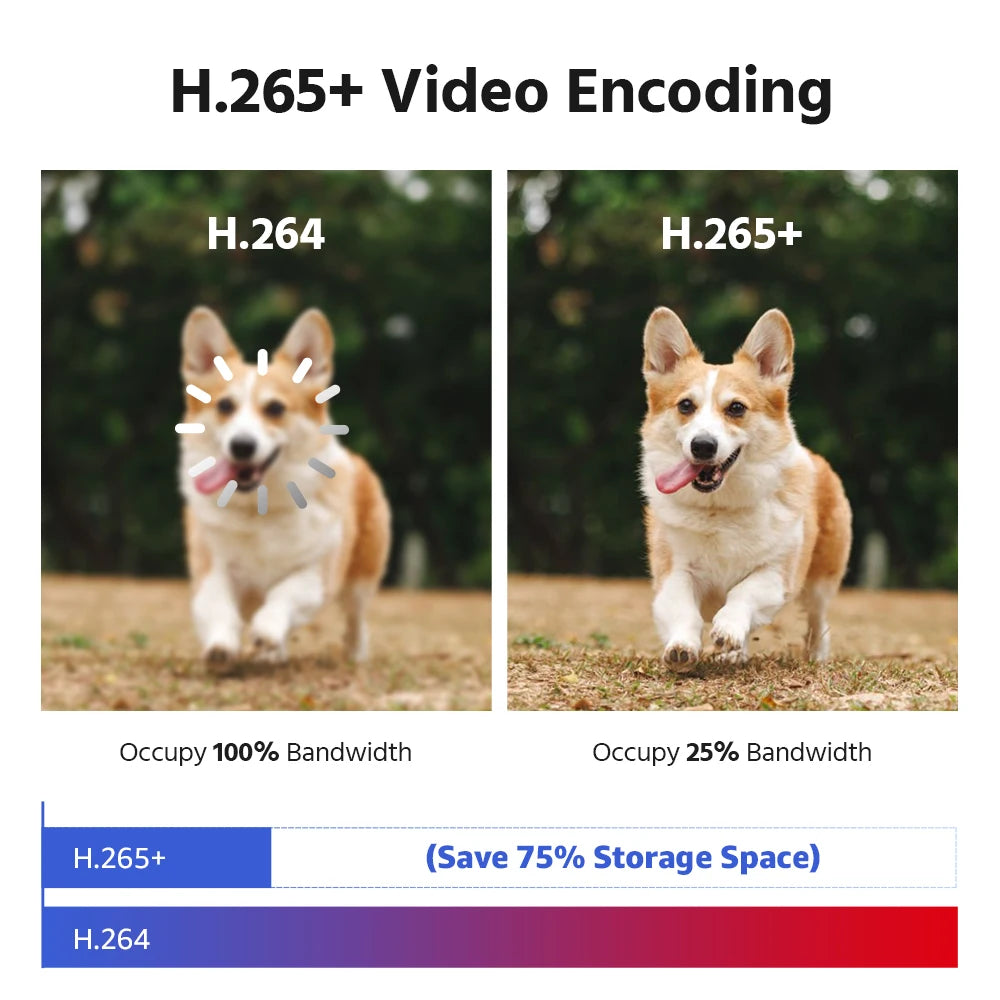 Night Vision CCTV Video Security Camera