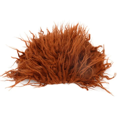 Halloween Dog Costume