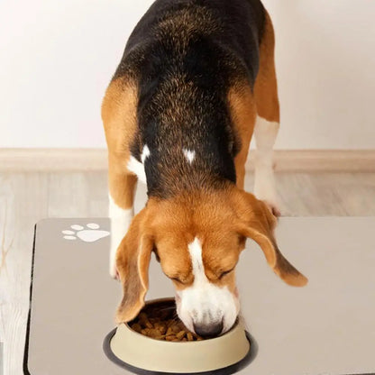 Non-slip Pet Food Placemat