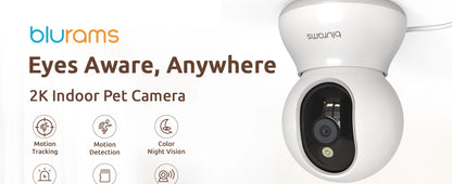 2 Pcs Blurams Indoor Security Camera