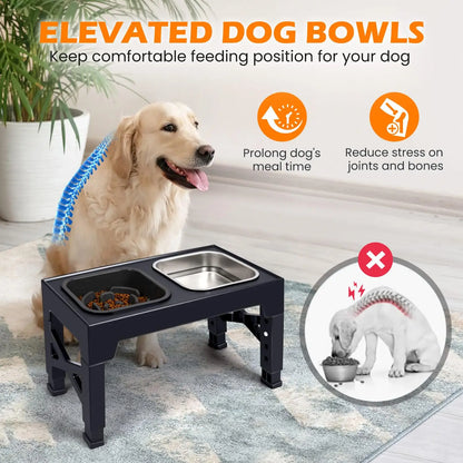 2-in-1 Elevated Foldable Stand w/ Bowls