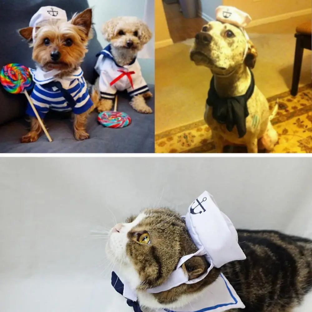 Sailor Style Hat Plus Scarf Halloween costume for Dogs or cats