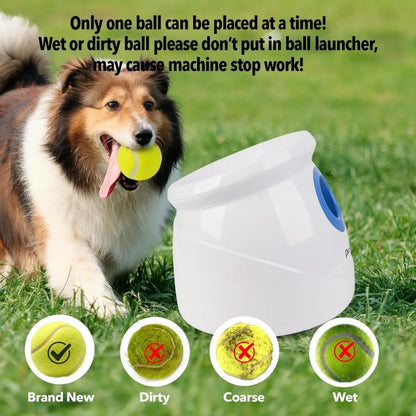 Dog Automatic Ball Launcher