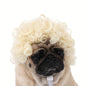 Funny Pet Wig For Dogs & Cats