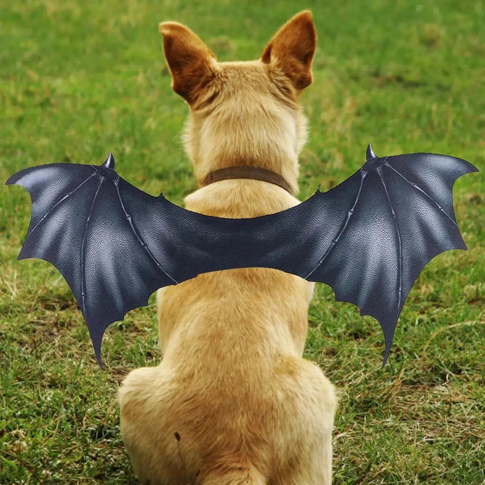 Halloween Bat Wings Costume for Pets