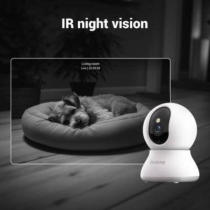 2 Pcs Blurams Indoor Security Camera