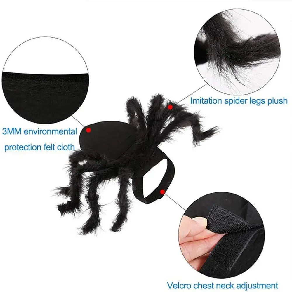 Halloween Spider Costume For Dogs
